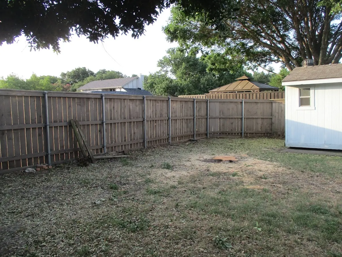 Cleared yard after professional tree removal in Nyssa